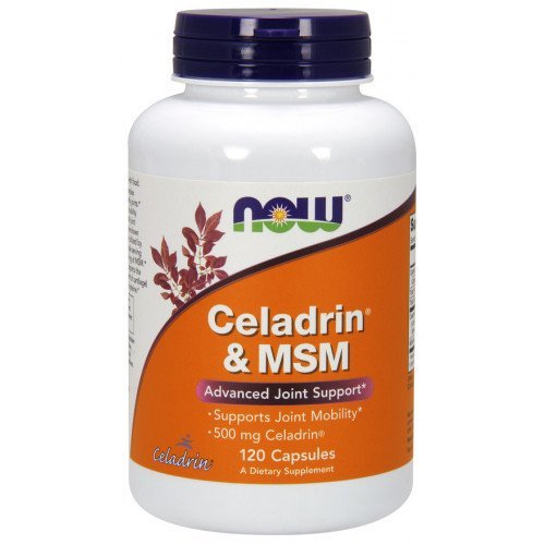 NOW Foods Celadrin & MSM 500 mg 120 Caps